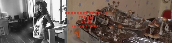 прущие грибы Киреевск