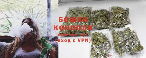 прущие грибы Киреевск