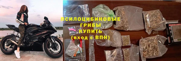 прущие грибы Киреевск