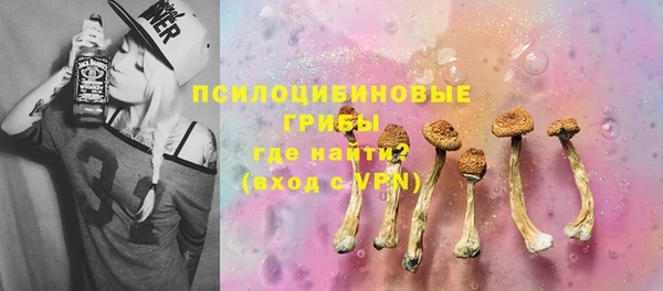 бошки Козельск